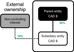 A parent entity holds a controlling interest of 90% of a subsidiary entity. Intacct allocates to an external third party the 10% non-controlling or minority interest. The base currency of both entities is Canadian dollars.