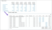 A balance sheet report on the consolidation book shows elimination by affiliate entity. Drill down to view details of the elimination.