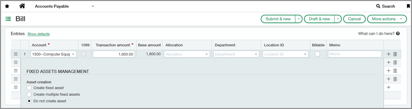A bill showing the first entry row expanded and the Do not create asset option selected.